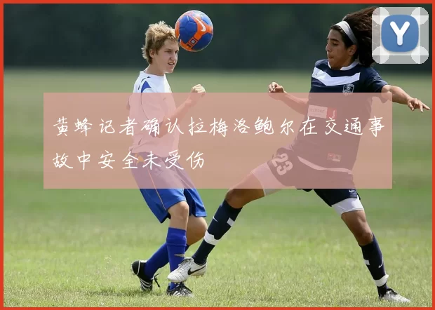 黄蜂记者确认拉梅洛鲍尔在交通事故中安全未受伤