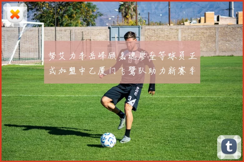 努艾力李岳峰顾嘉逸廖垒等球员正式加盟中乙厦门飞鹭队助力新赛季
